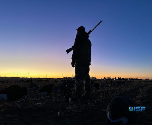 Winters, TX - Dove Hunt